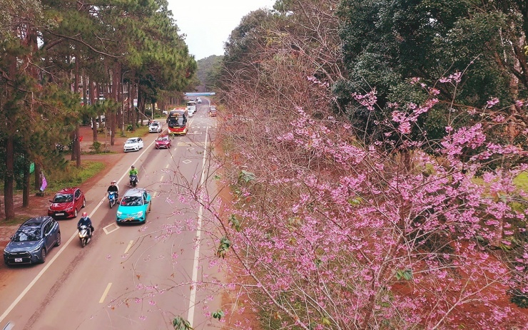 Bình minh sắc hồng giữa đại ngàn Măng Đen - 10