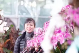 Bỏ hàng tỷ đồng buôn hoa Tết rồi ngóng khách... mất ăn, mất ngủ