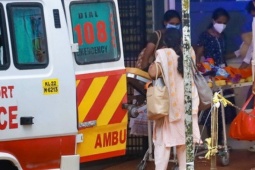 WHO, CDC nói về virus Nipah: Ai có nguy cơ, nguy hiểm đến đâu?