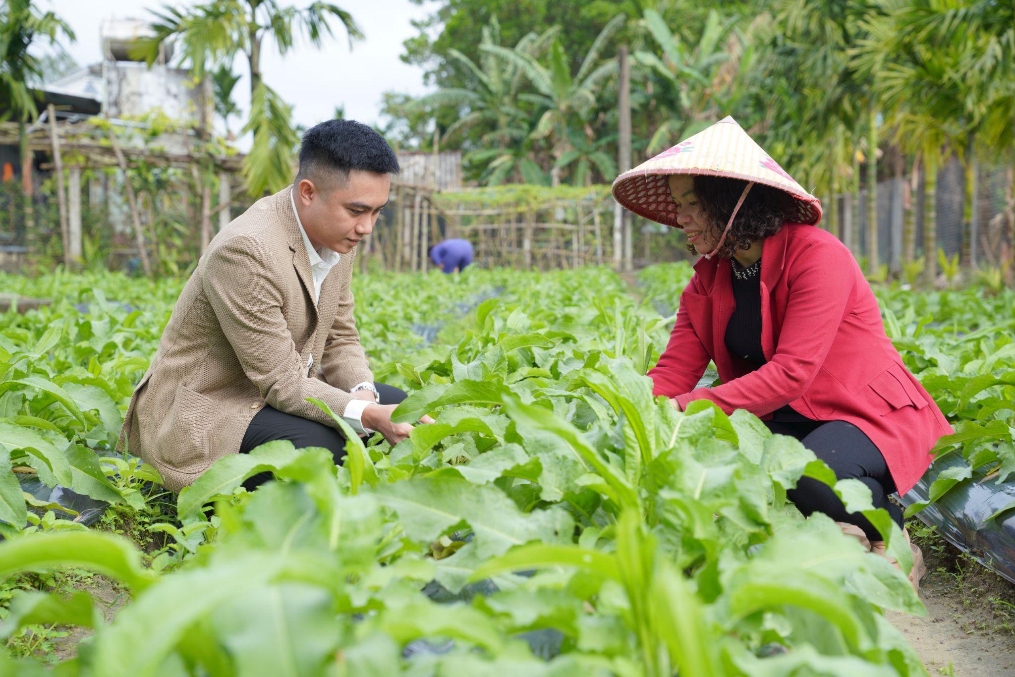 Hướng phát triển bền vững của hệ sinh thái Sâm Nữ Hoàng - 1