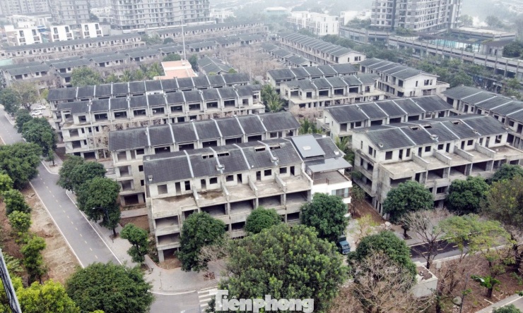 Cảnh bỏ hoang tại dự án biệt thự, liền kề từng ‘xây chui, bán sai’