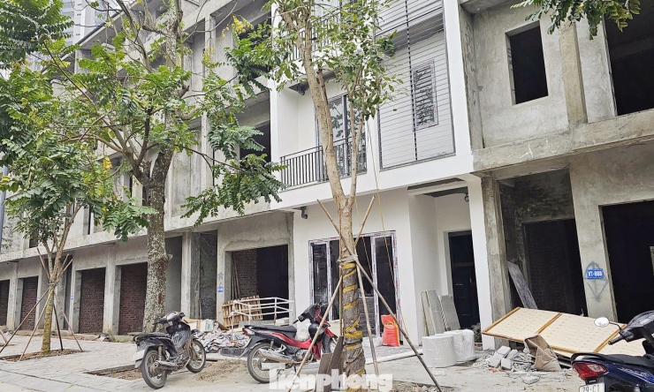 Cảnh bỏ hoang tại dự án biệt thự, liền kề từng ‘xây chui, bán sai’