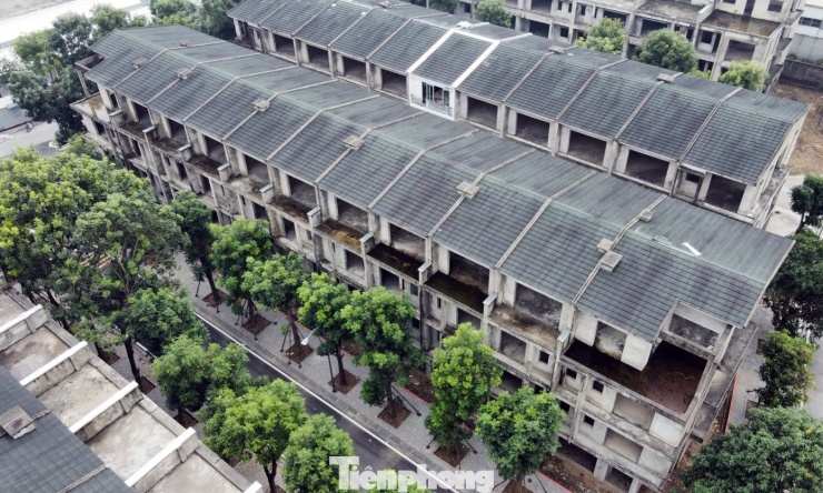 Cảnh bỏ hoang tại dự án biệt thự, liền kề từng ‘xây chui, bán sai’