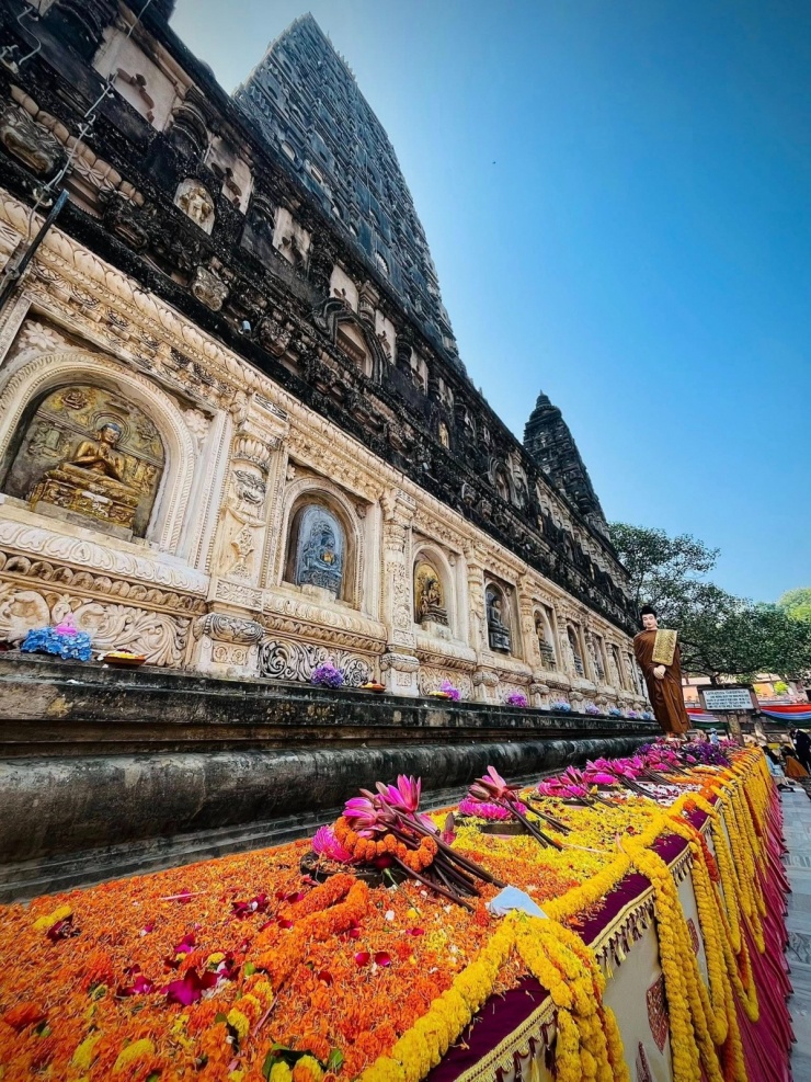 Thủy Tiên hành hương đến nơi Đức Phật thành đạo - 4