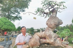 Loại cây mang tên động vật lên chậu thành bonsai, giá 500 triệu đồng chủ nhân vẫn không bán