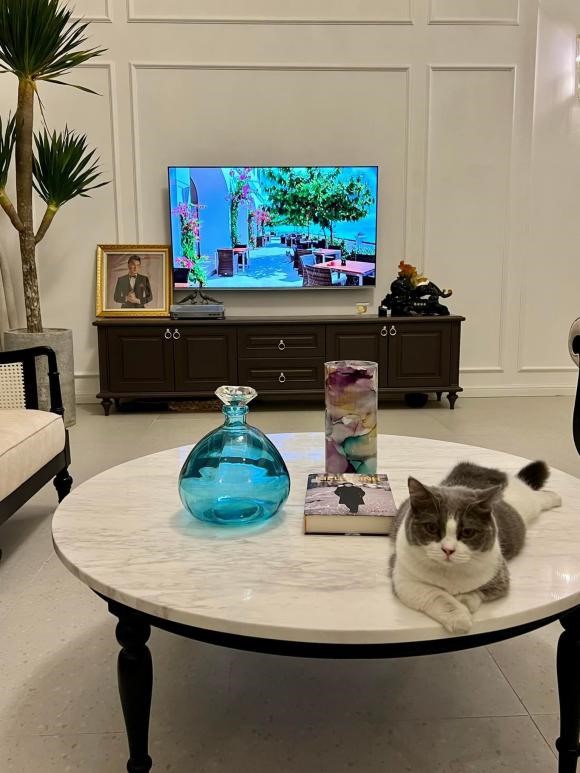 Phòng khách bài trí cổ điển, sang trọng, sofa tông trầm dài và một chiếc tivi cỡ lớn. Tại phòng khách, nam ca sĩ bài trí thêm nhiều hoa và cây xanh. Phòng khách ăn thông với khu vực bàn ăn.