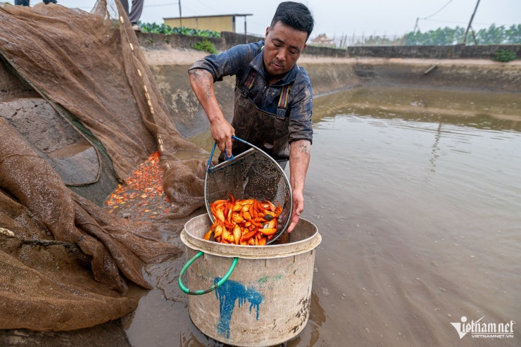 La aldea de Thuy Tram es conocida desde hace tiempo como una de las mayores 