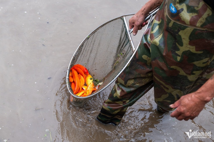 Para evitar riesgos para la salud, los lugareños se han equipado con botas para caminar por el barro mientras recogen peces.
