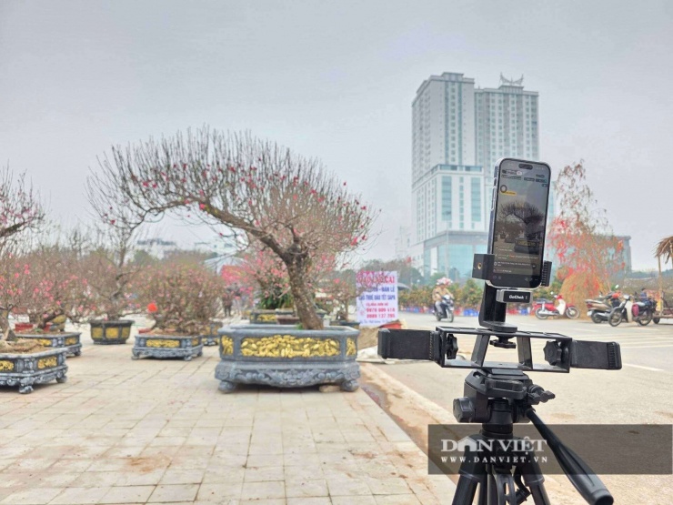 Chỉ “livestream cho đỡ buồn”, ai ngờ tiểu thương Phú Thọ chốt đơn đào Tết ầm ầm trên mạng - 2