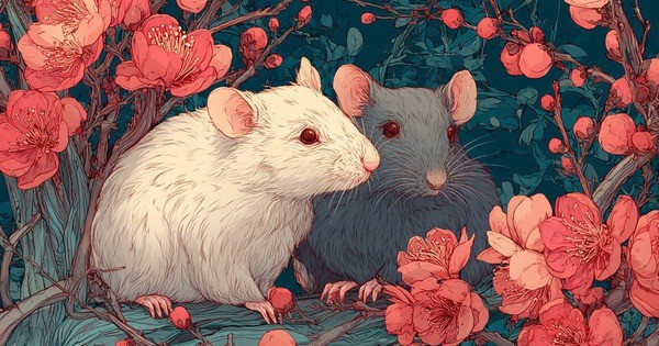 Dù thiếu vắng cát tinh mạnh, sự nghiệp của con giáp Tý vẫn có điểm sáng nhất định. Ảnh minh họa