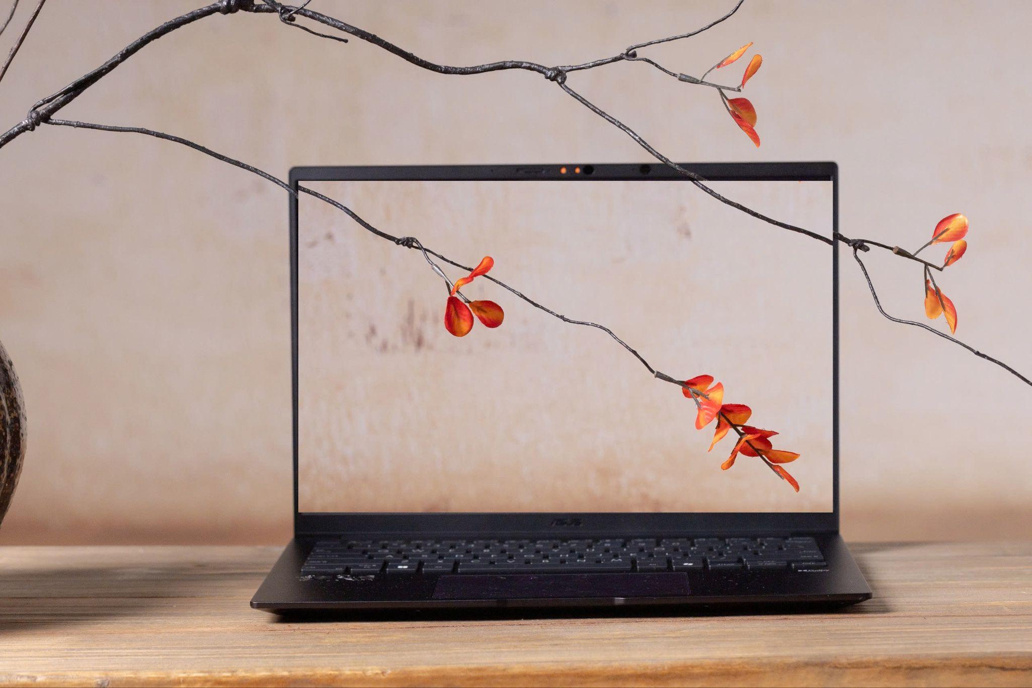 Zenbook 14 và Vivobook S14 - Hai dòng laptop AI mỏng nhẹ, pin lâu và màn hình laptop OLED hướng tới nhu cầu làm việc linh hoạt.