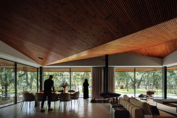 Nhà 1.200 m2 ẩn mình dưới tán cây hoàn thiện trong 8 năm - 5