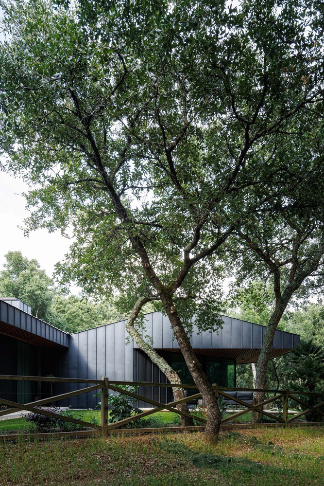 Nhà 1.200 m2 ẩn mình dưới tán cây hoàn thiện trong 8 năm - 3