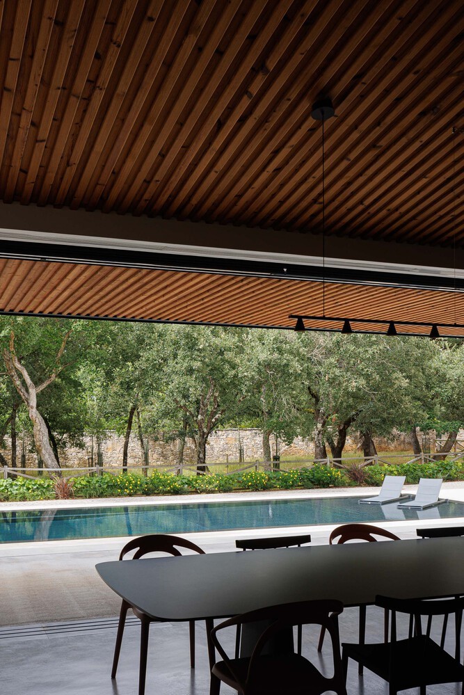 Nhà 1.200 m2 ẩn mình dưới tán cây hoàn thiện trong 8 năm - 8