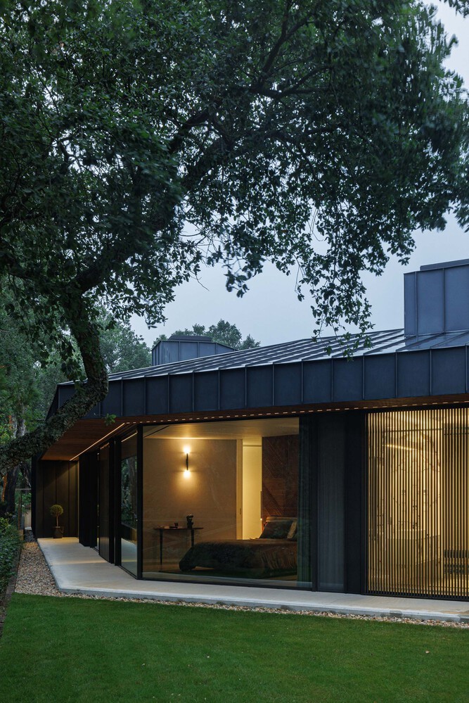 Nhà 1.200 m2 ẩn mình dưới tán cây hoàn thiện trong 8 năm - 11