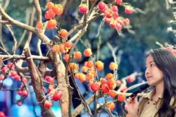 Giới trẻ Thủ đô check-in quán cà phê như  phim trường Tết 