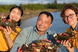 Cua gạch Cà Mau có giá 1,3 triệu đồng/kg