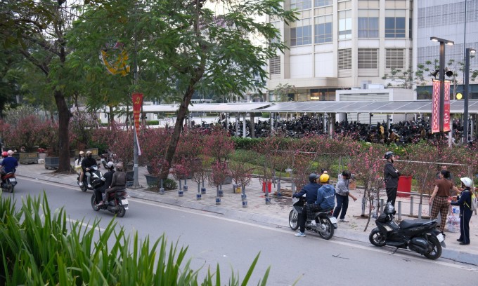 Cây cảnh, hoa chơi Tết giảm giá một nửa để xả hàng sớm