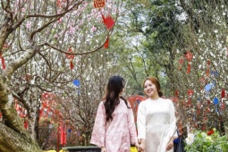 Điểm check-in hoa đào 'hot' nhất Hà Nội những ngày cận Tết