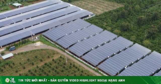 Anh nông dân Đắk Lắk kể chuyện thu tiền tỷ từ điện mặt trời mái nhà