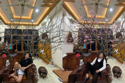 Vợ 9X gây sốt khi  ' trách '  chồng mua cành đào 17 triệu đồng như củi khô