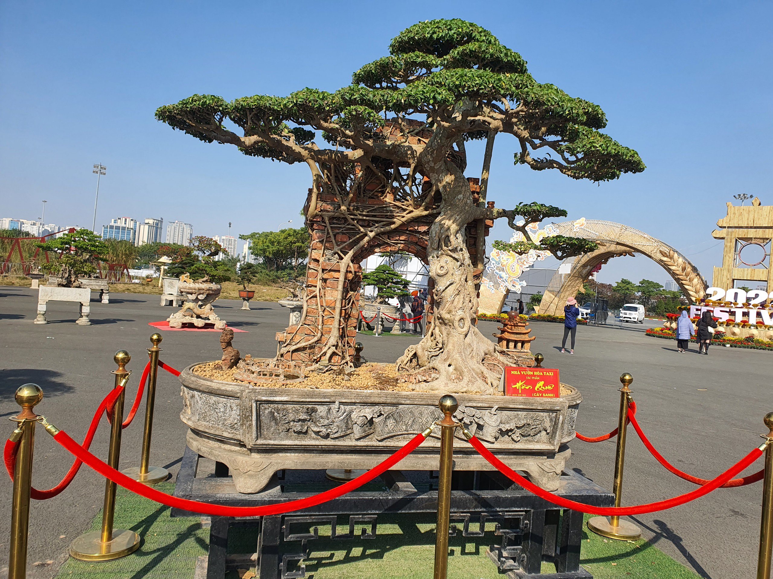 “Thuyết phục mãi họ không bán. Đến năm 2014, thị trường cây cảnh chững lại, họ cần tiền nên tôi mới mua được”, ông Hoà cho hay.&nbsp;(Ảnh: Hồng Cảnh).