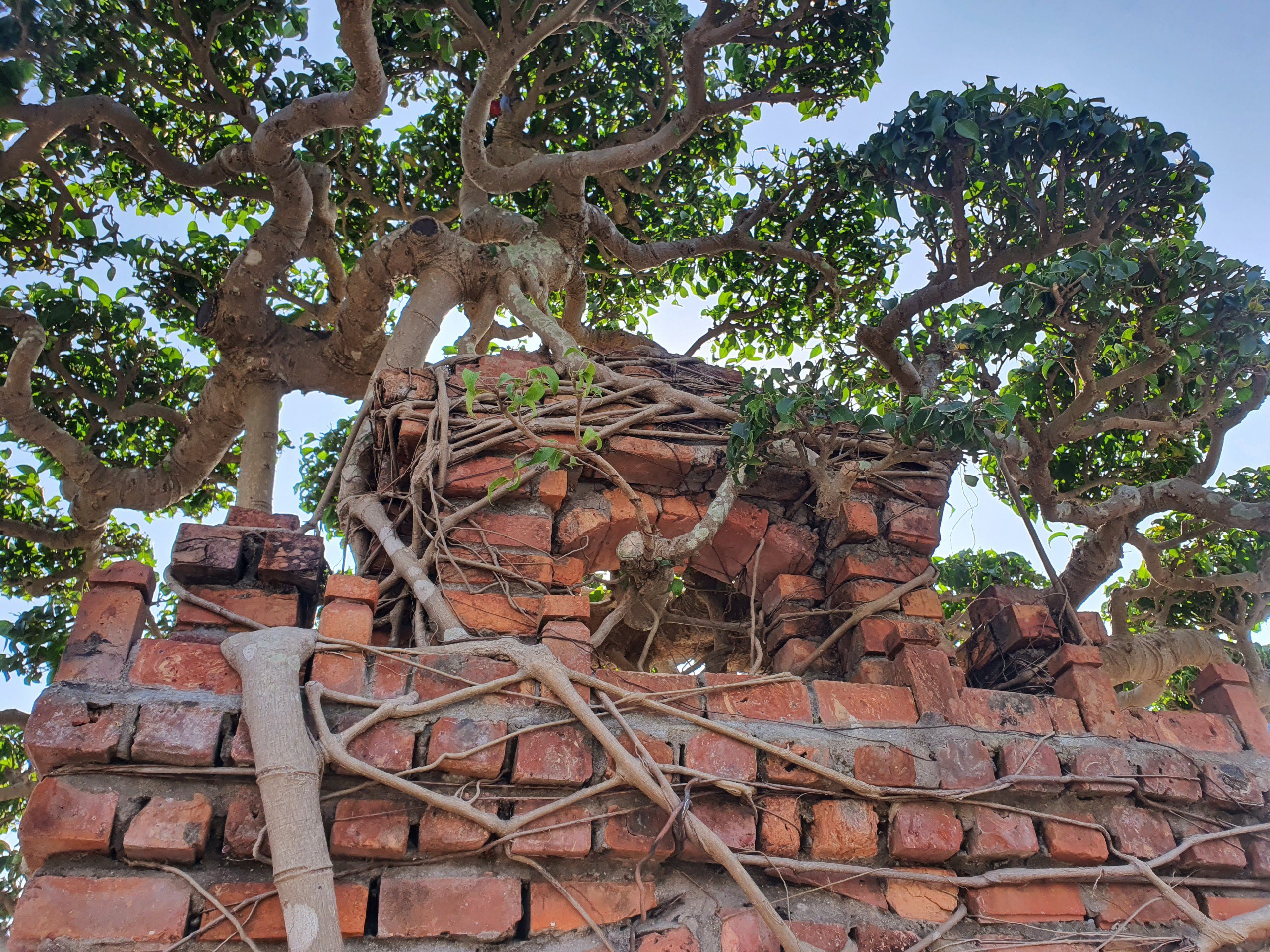 Để cổng làng mang nét cổ xưa nhất, từng viên gạch được chọn để làm cũng là gạch mộc, không trát.&nbsp;(Ảnh: Hồng Cảnh).
