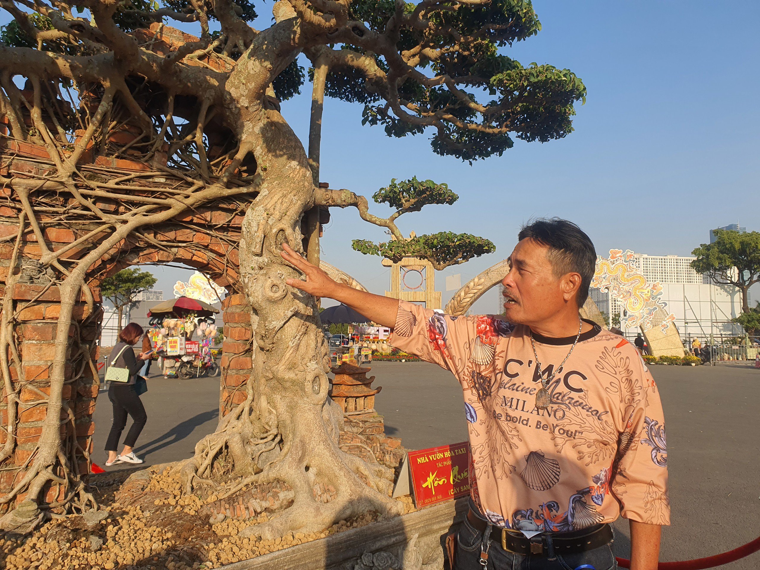 Cây sanh như cây đa cổ thụ chỉ với một thân duy nhất, không cố định vào cổng làng mà mọc bên cạnh với bộ rễ bám chặt cổng làng một cách rất tự nhiên.&nbsp;(Ảnh: Hồng Cảnh).