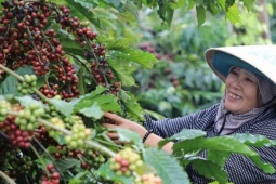 Làng “tỷ phú” giữa lòng cao nguyên