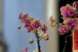 Sau Tết, điều còn đọng lại là gì?