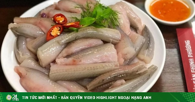 Loài cá mềm như cháo, "đặt vào môi trôi vào họng" giá 1 triệu đồng/kg "cháy hàng" ngày đầu năm