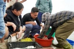 Bắt bề bề toàn con to bự, cá thờn bơn tươi rói, cá trích nhặt mỏi tay ở bờ biển Thanh Hóa