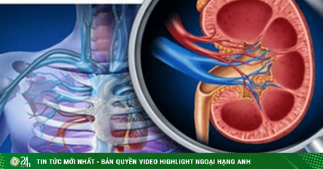 6 'nguyên tắc' sống còn của người bệnh suy thận, giúp bảo vệ chức năng thận tốt hơn