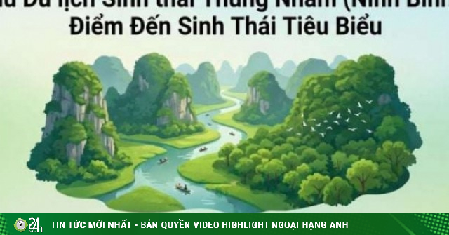 Thung Nham ở đâu? Khám phá vườn chim lớn nhất miền Bắc giữa lòng Cố đô Hoa Lư