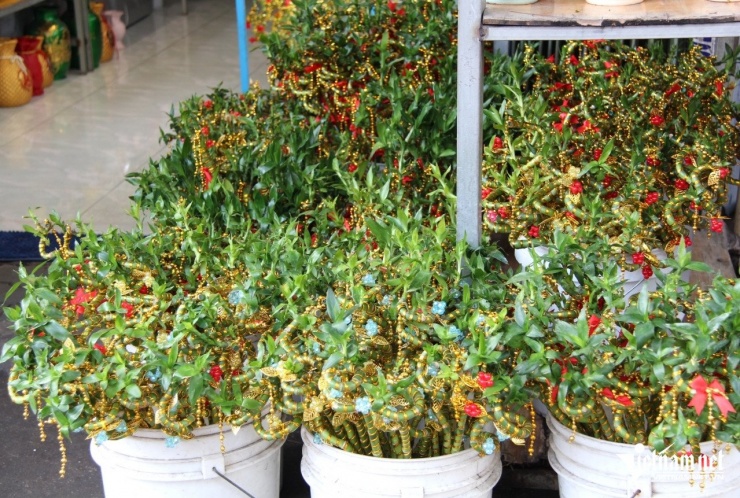 Rực sắc bánh 'tài lộc' ở chợ người Hoa TPHCM ngày vía Thần Tài - 16