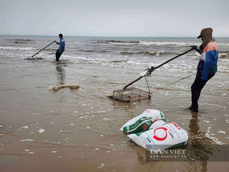 Ven bờ biển Hà Tĩnh có loài ốc gì mà dân ra cào bắt bán hàng tấn, đúng kiểu mùa kiếm tiền tháng Giêng? - 3