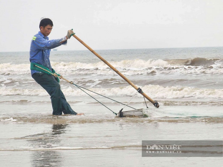 Những ngày đầu xuân, khi thủy triều rút, người dân xã Đồng Tiến và Yên Hòa (Hà Tĩnh) tranh thủ ra biển cào ốc tép do sóng đánh dạt vào bờ.