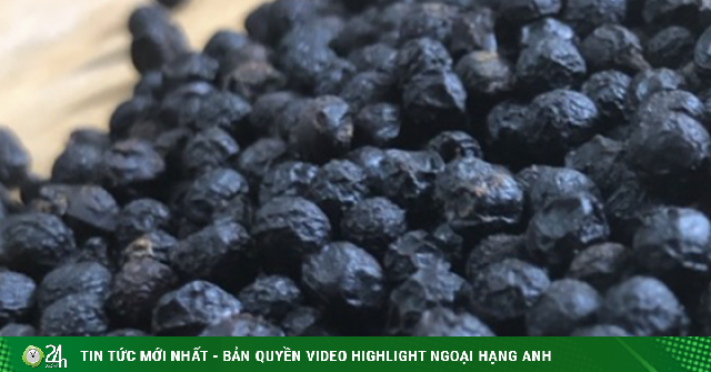 Thái Lan bất ngờ chi tiền gấp 4 lần mua hơn 1.200 tấn ‘vàng đen’ của Việt Nam