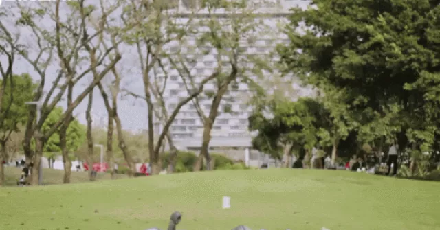 Robot hình người 'mini' phô diễn khả năng thăng bằng