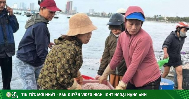 Con 10 chân vẫn nổi dày như mọi năm, dân nơi này ở Đà Nẵng cứ khênh sọt lớn sọt nhỏ nặng lặc lè mà cục tiền cầm nhẹ đi