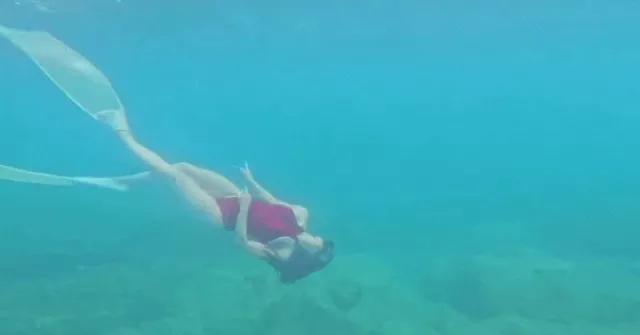 Diệp Lâm Anh 'mê mẩn' lặn biển Hòn Rùa