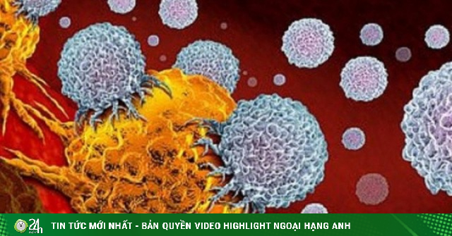 Loại rau quen thuộc trên mâm cơm người Việt có thể nuôi lớn tế bào ung thư nếu ăn sai cách