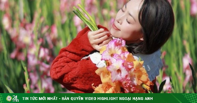 Đồng lay ơn nở muộn trở thành điểm check-in hot 'không ngờ'