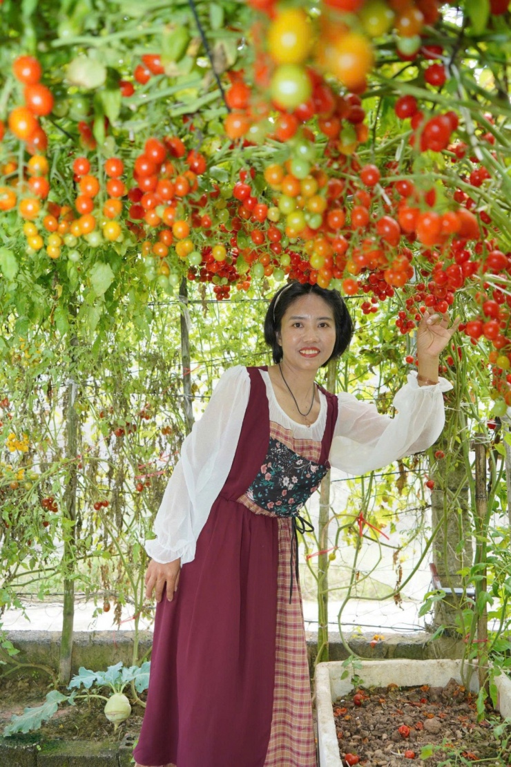 Vườn cà chua 'đẹp như AI', hút hàng nghìn khách check-in đầu xuân - 2