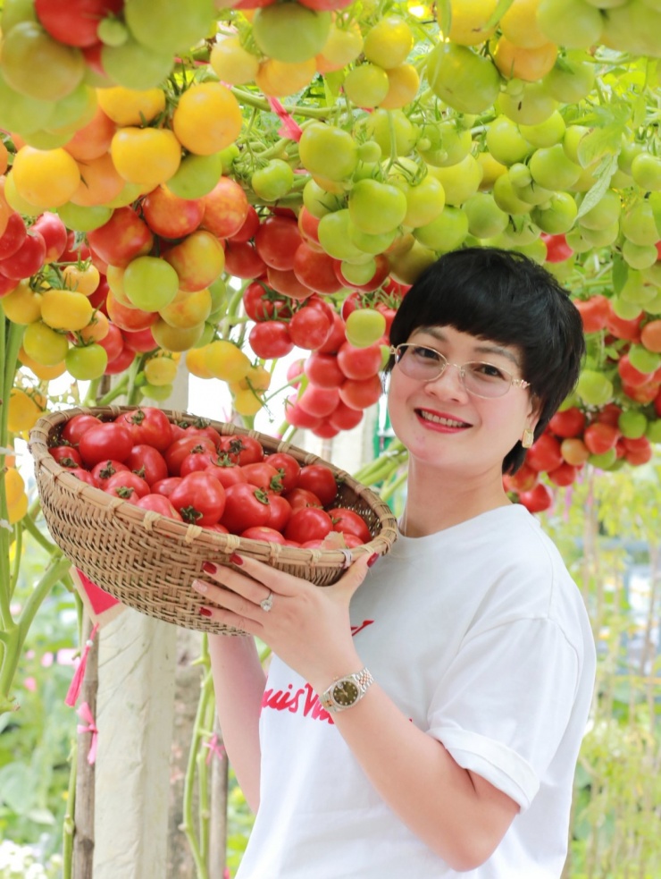 Vườn cà chua 'đẹp như AI', hút hàng nghìn khách check-in đầu xuân - 7