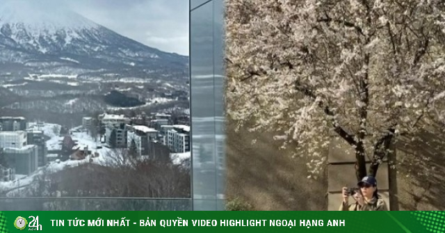 Các con 'vua hàng hiệu' Jonathan Hạnh Nguyễn xuất ngoại đầu xuân