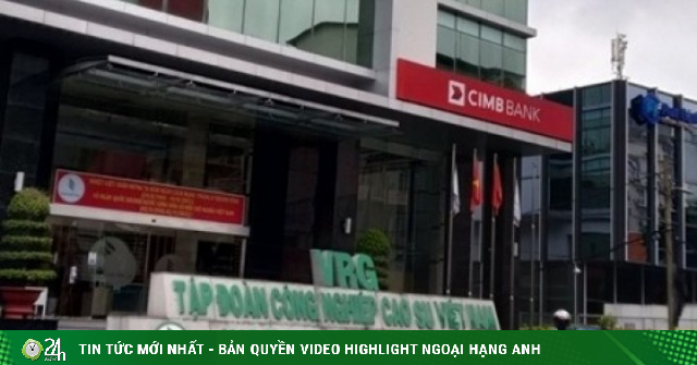 Thanh tra Chính phủ chỉ ra nhiều vi phạm tại Tập đoàn Công nghiệp Cao su Việt Nam