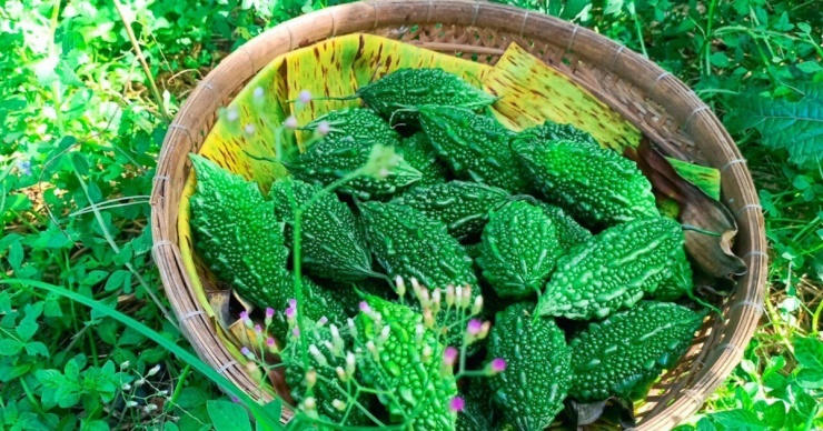 (Ảnh minh họa: Tuổi Trẻ)