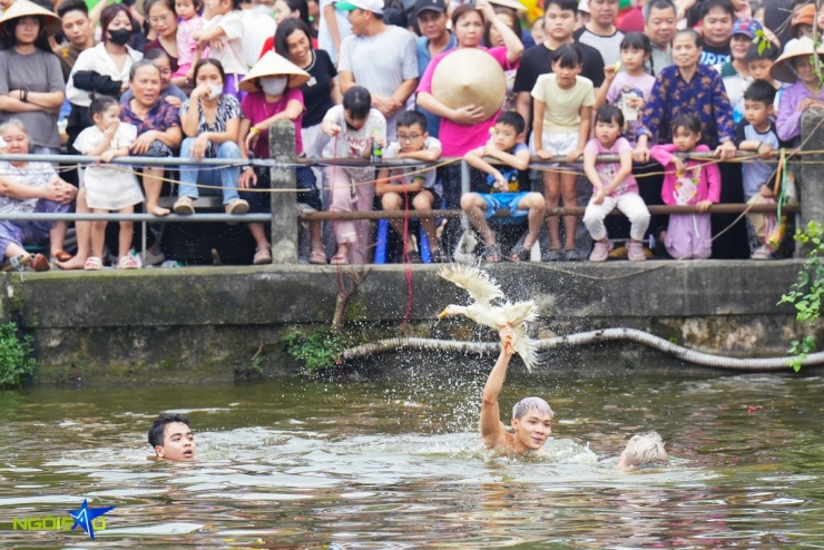 Hàng chục trai tráng ngụp lặn bắt vịt ở hội làng Hà Nội - 9