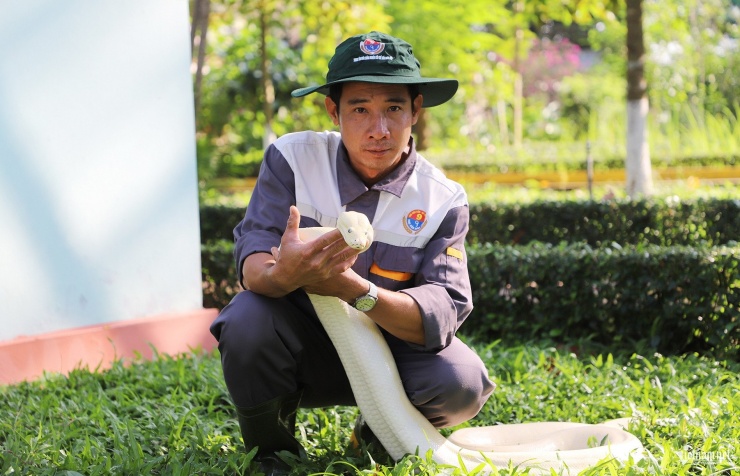 Anh Phạm Văn Linh và con trăn bạch tạng quý hiếm